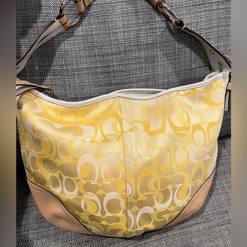 Coach Hobo purse